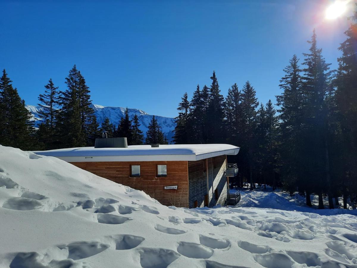 La Petite Foret Chamrousse 1700 Екстериор снимка