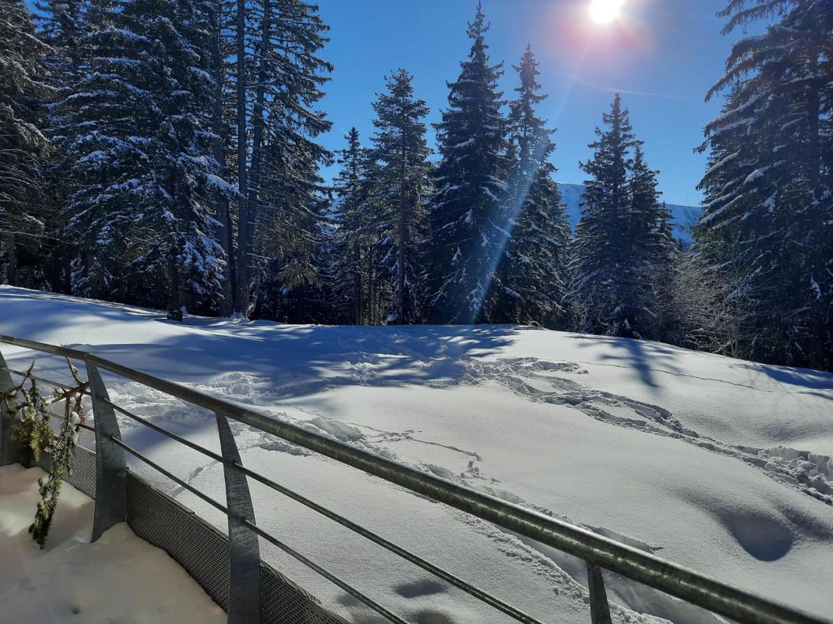 La Petite Foret Chamrousse 1700 Екстериор снимка