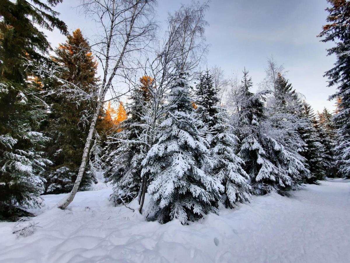La Petite Foret Chamrousse 1700 Екстериор снимка
