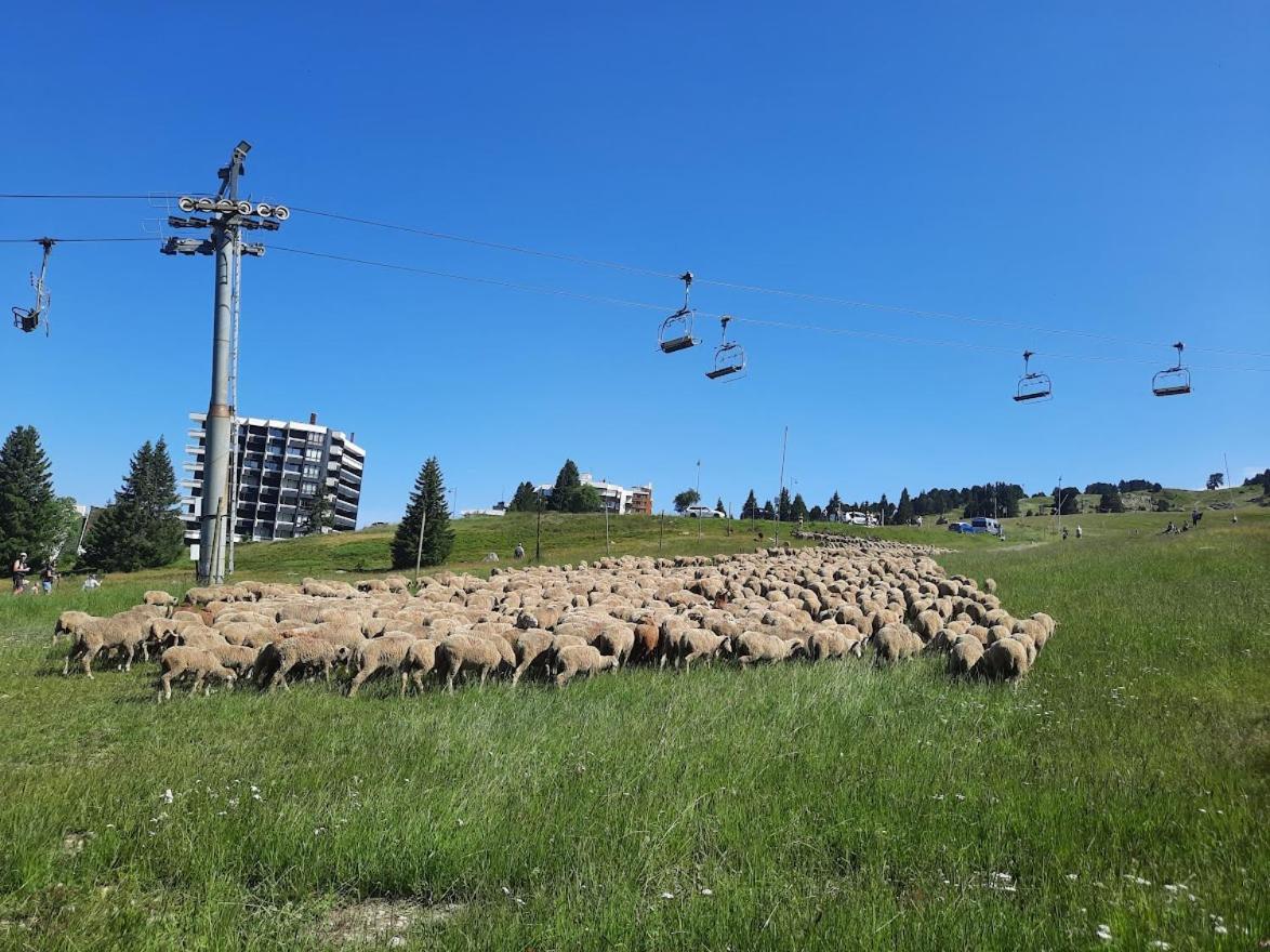 La Petite Foret Chamrousse 1700 Екстериор снимка