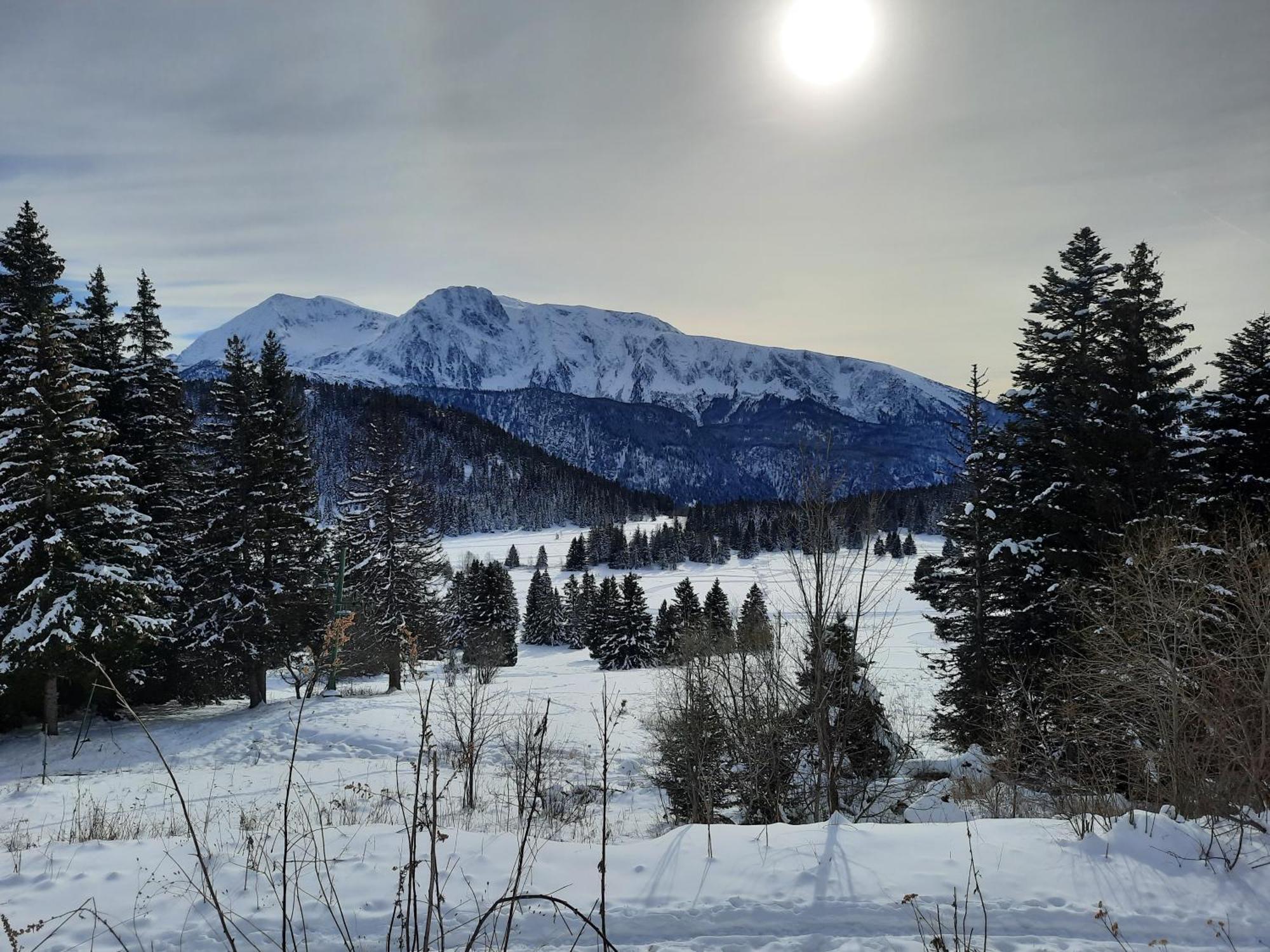 La Petite Foret Chamrousse 1700 Екстериор снимка