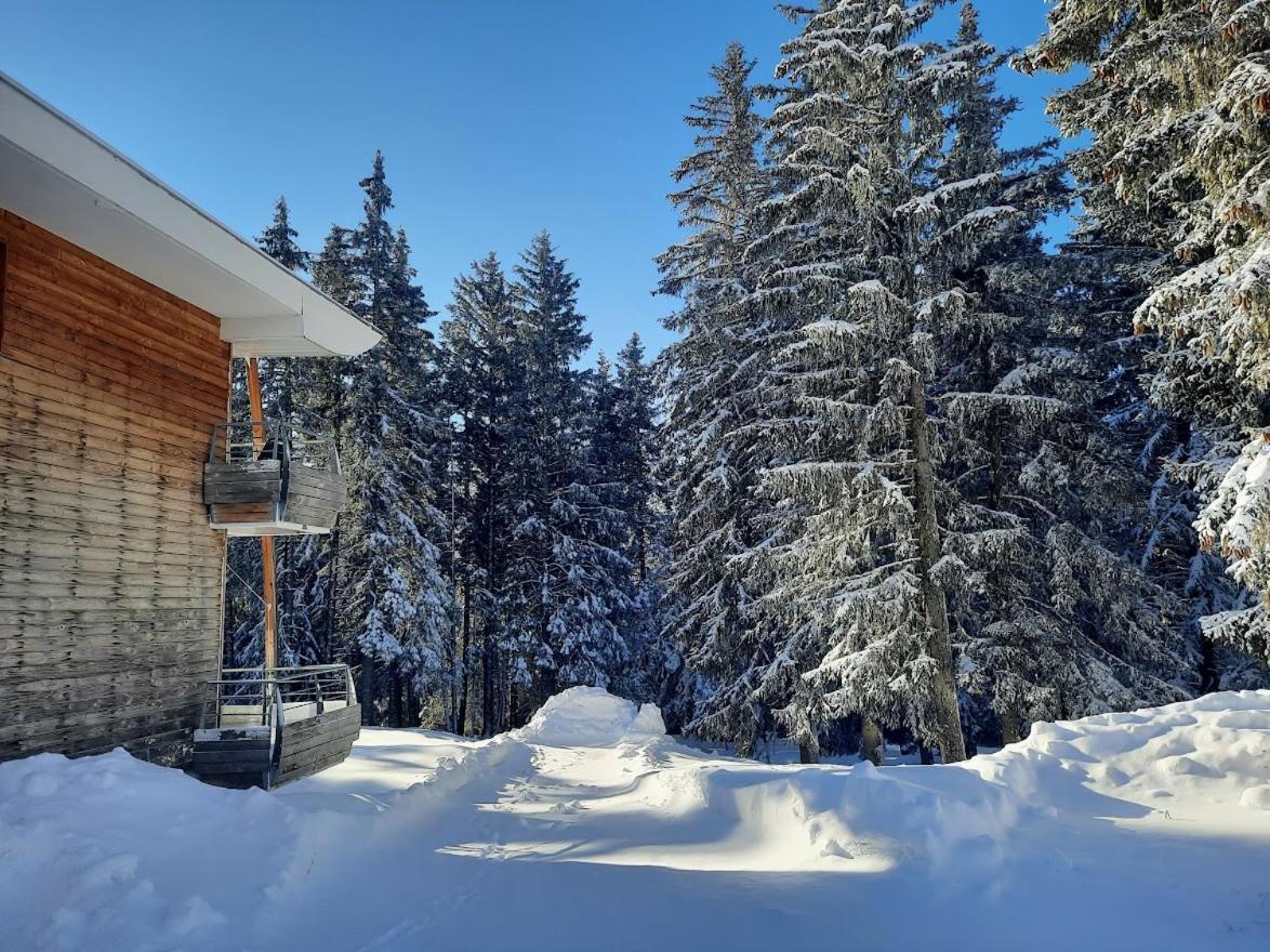 La Petite Foret Chamrousse 1700 Екстериор снимка